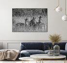 Safety in numbers by Nick Jackson on GIANT ART - white animals