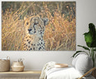 Watching her cubs by Nick Jackson on GIANT ART - black animals