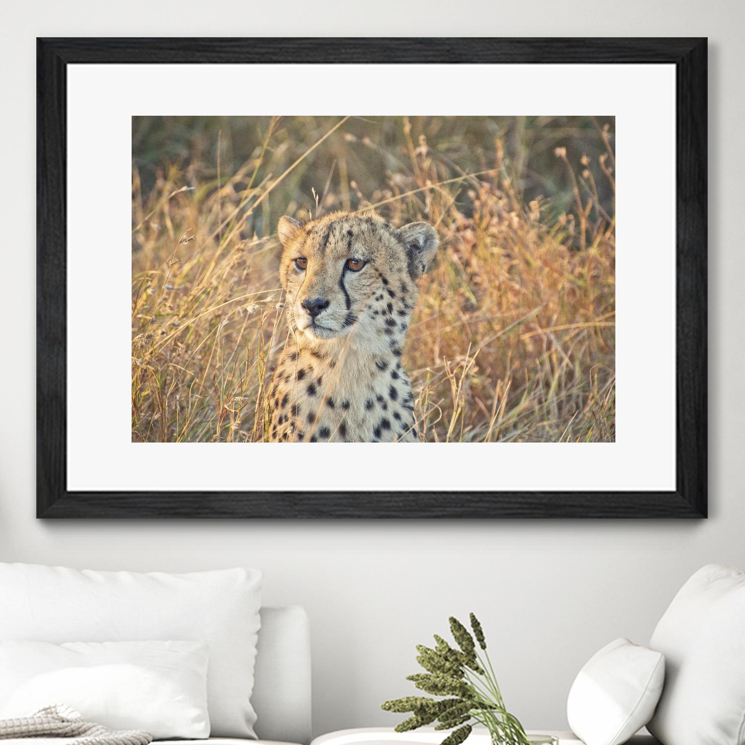 Watching her cubs by Nick Jackson on GIANT ART - black animals