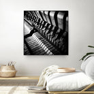 Piano XII by Jean-François Dupuis on GIANT ART - white black & white piano