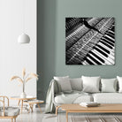 Piano XVI by Jean-François Dupuis on GIANT ART - white black & white piano