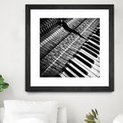 Piano XVI by Jean-François Dupuis on GIANT ART - white black & white piano