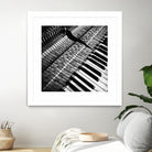 Piano XVI by Jean-François Dupuis on GIANT ART - white black & white piano