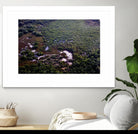 Landscape by Peter Morneau on GIANT ART - green photo art