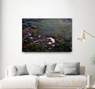 Landscape by Peter Morneau on GIANT ART - green photo art