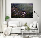 Landscape by Peter Morneau on GIANT ART - green photo art