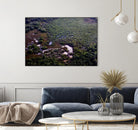 Landscape by Peter Morneau on GIANT ART - green photo art