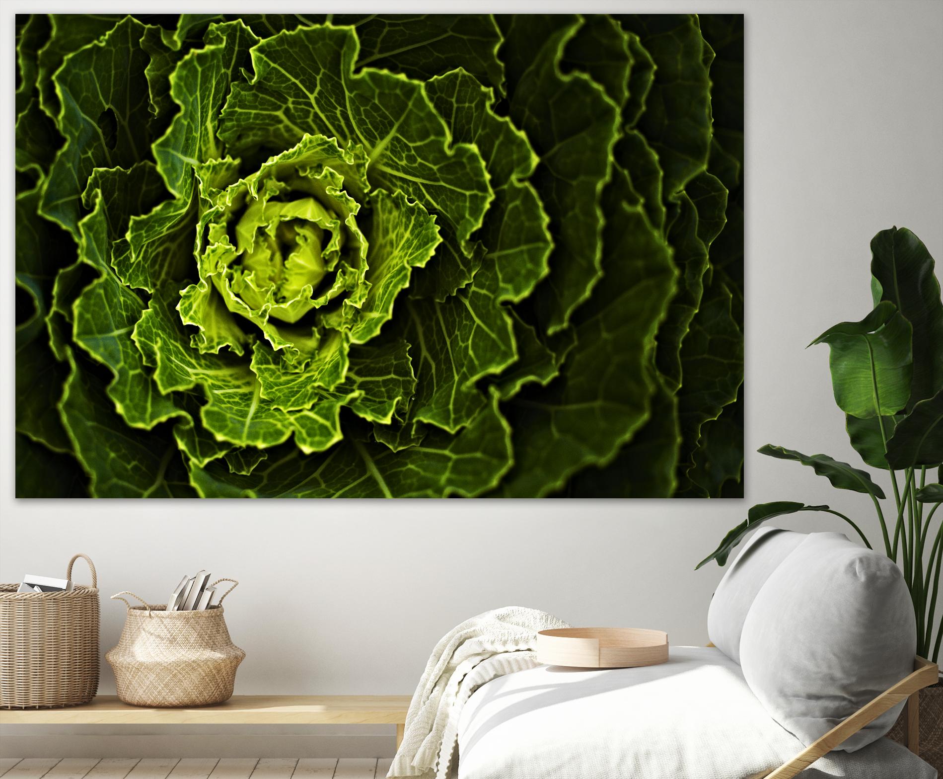 Cabbage I by Peter Morneau on GIANT ART - green photo art