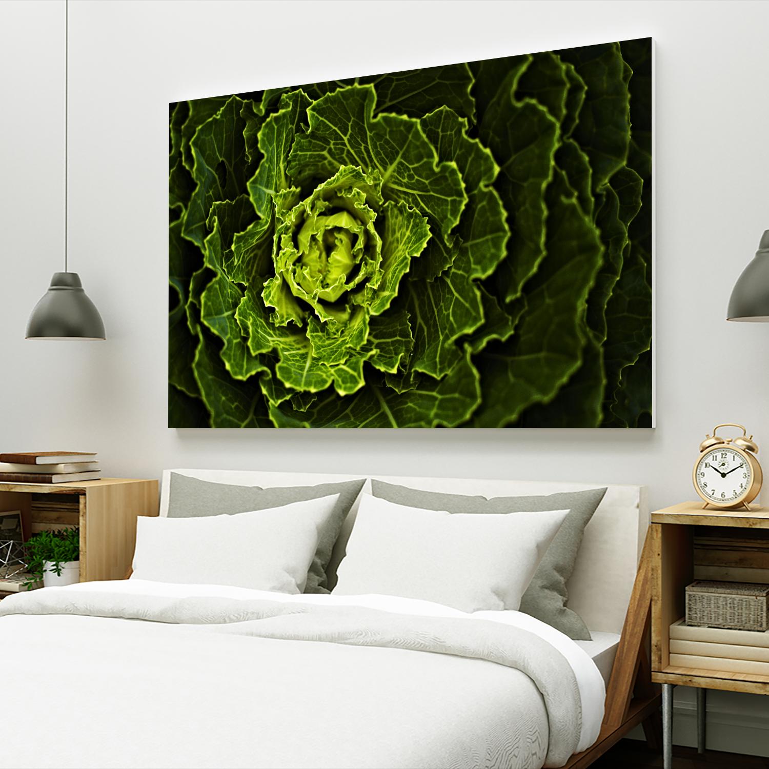 Cabbage I by Peter Morneau on GIANT ART - green photo art