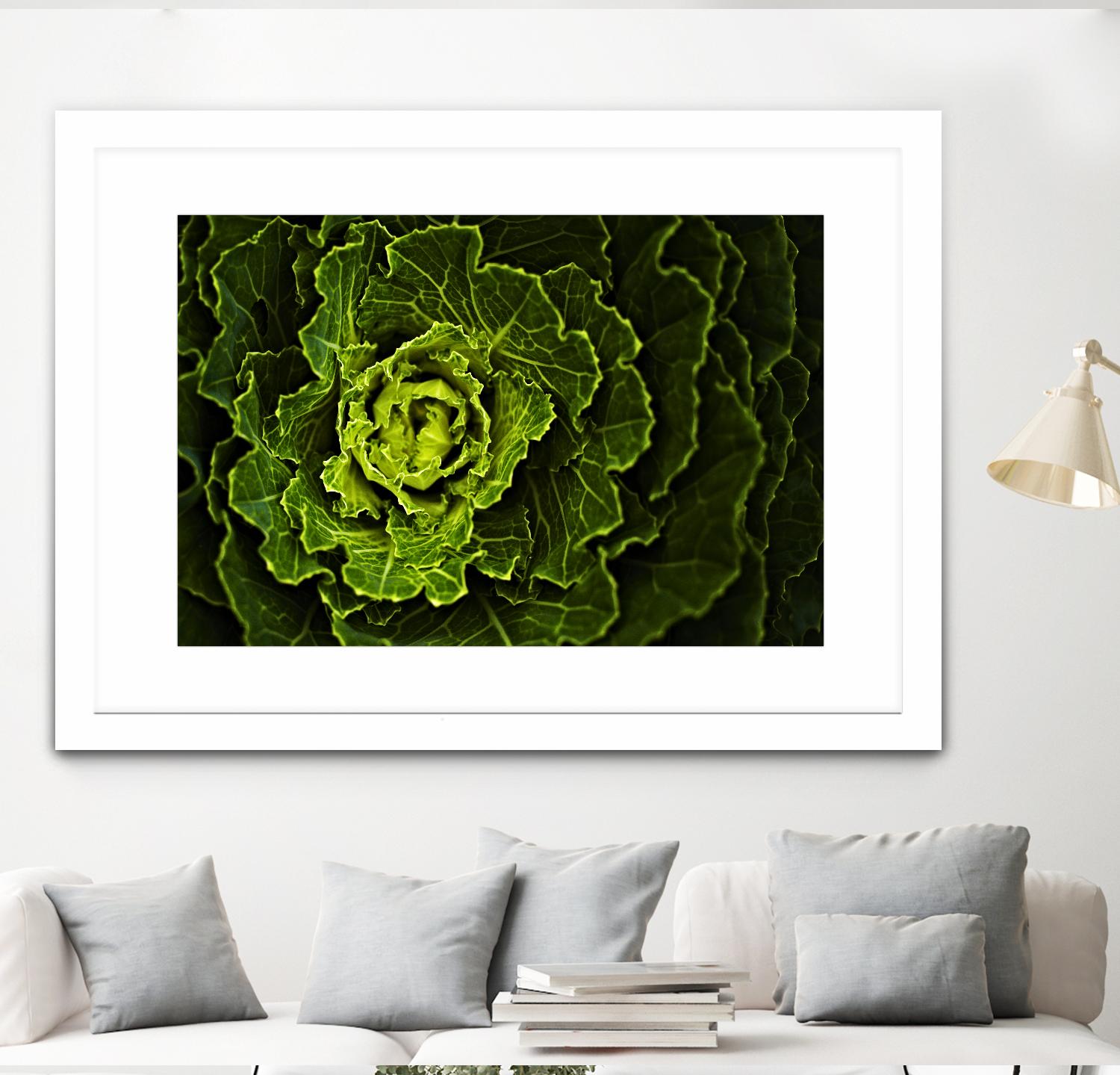 Cabbage I by Peter Morneau on GIANT ART - green photo art