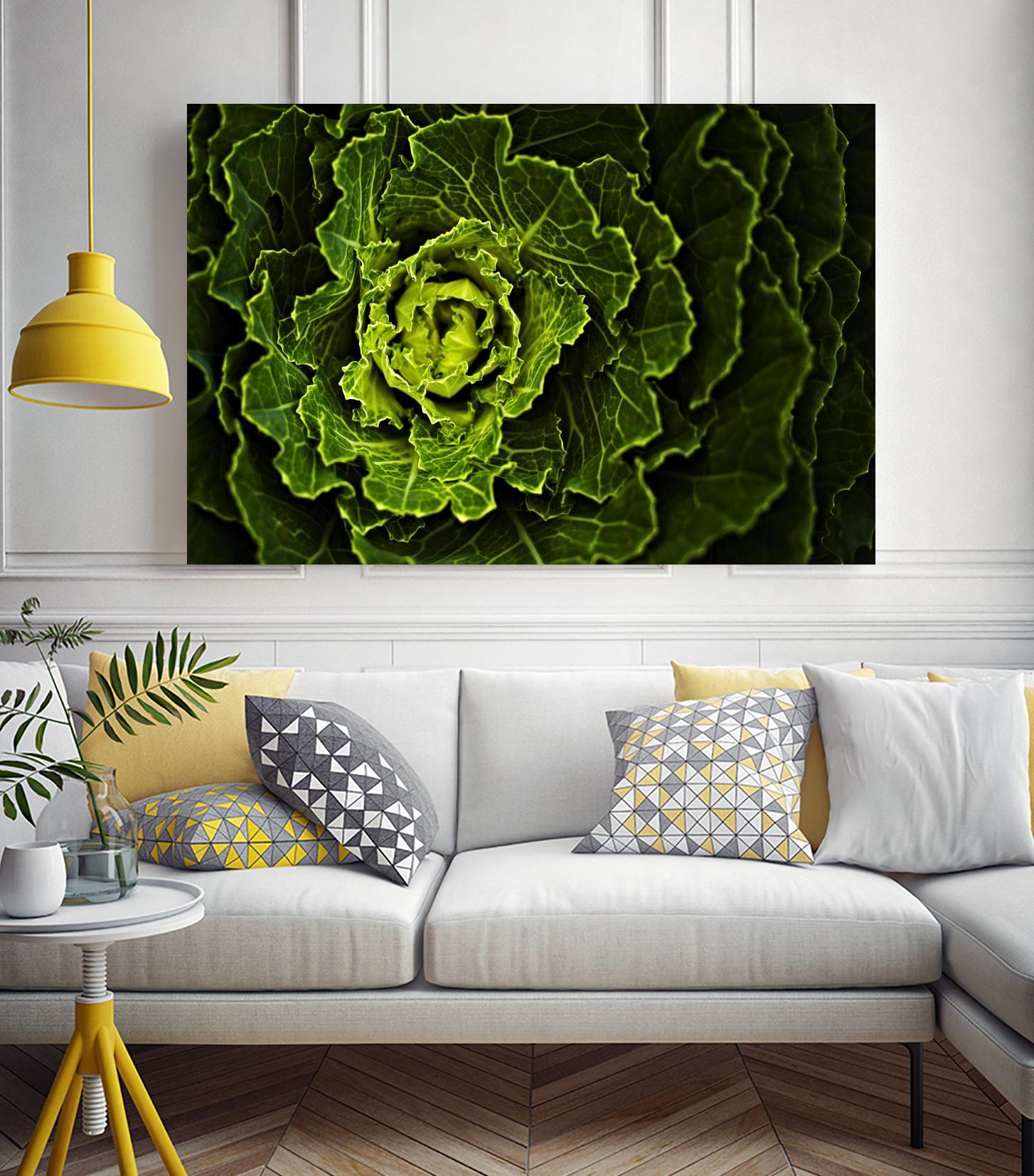 Cabbage I by Peter Morneau on GIANT ART - green photo art