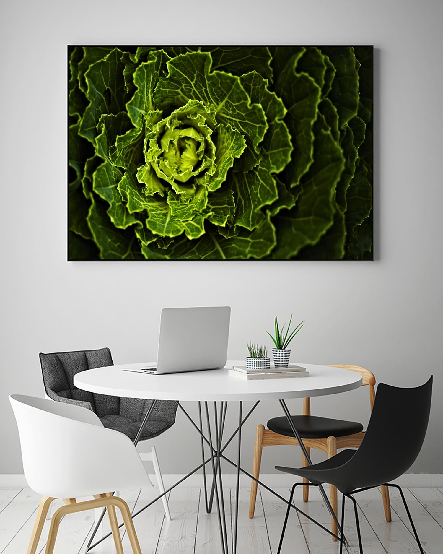 Cabbage I by Peter Morneau on GIANT ART - green photo art