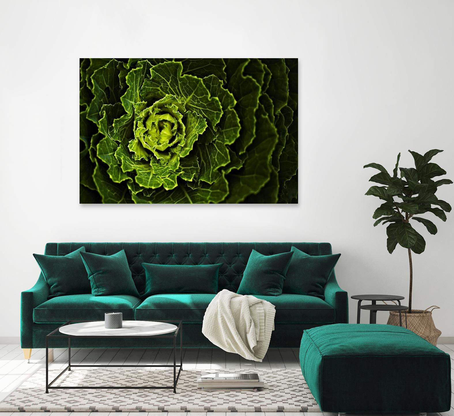 Cabbage I by Peter Morneau on GIANT ART - green photo art