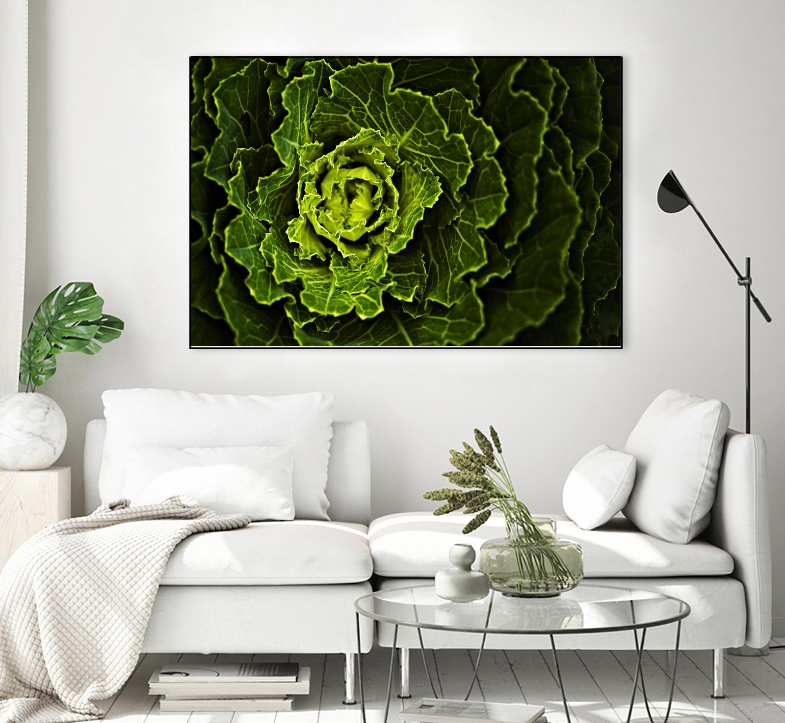 Cabbage I by Peter Morneau on GIANT ART - green photo art