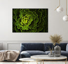 Cabbage I by Peter Morneau on GIANT ART - green photo art