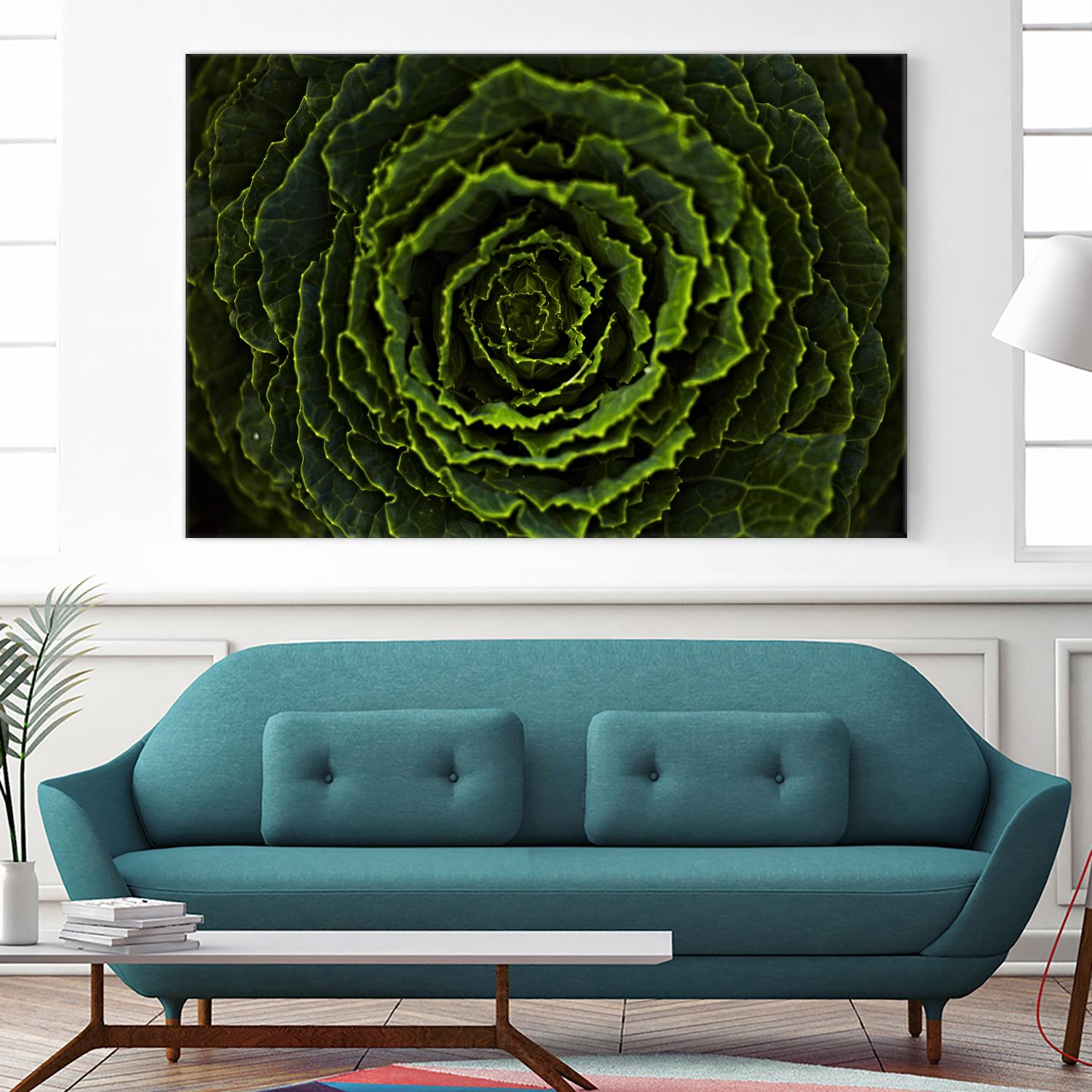 Cabbage II by Peter Morneau on GIANT ART - green photo art