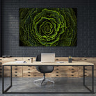 Cabbage II by Peter Morneau on GIANT ART - green photo art