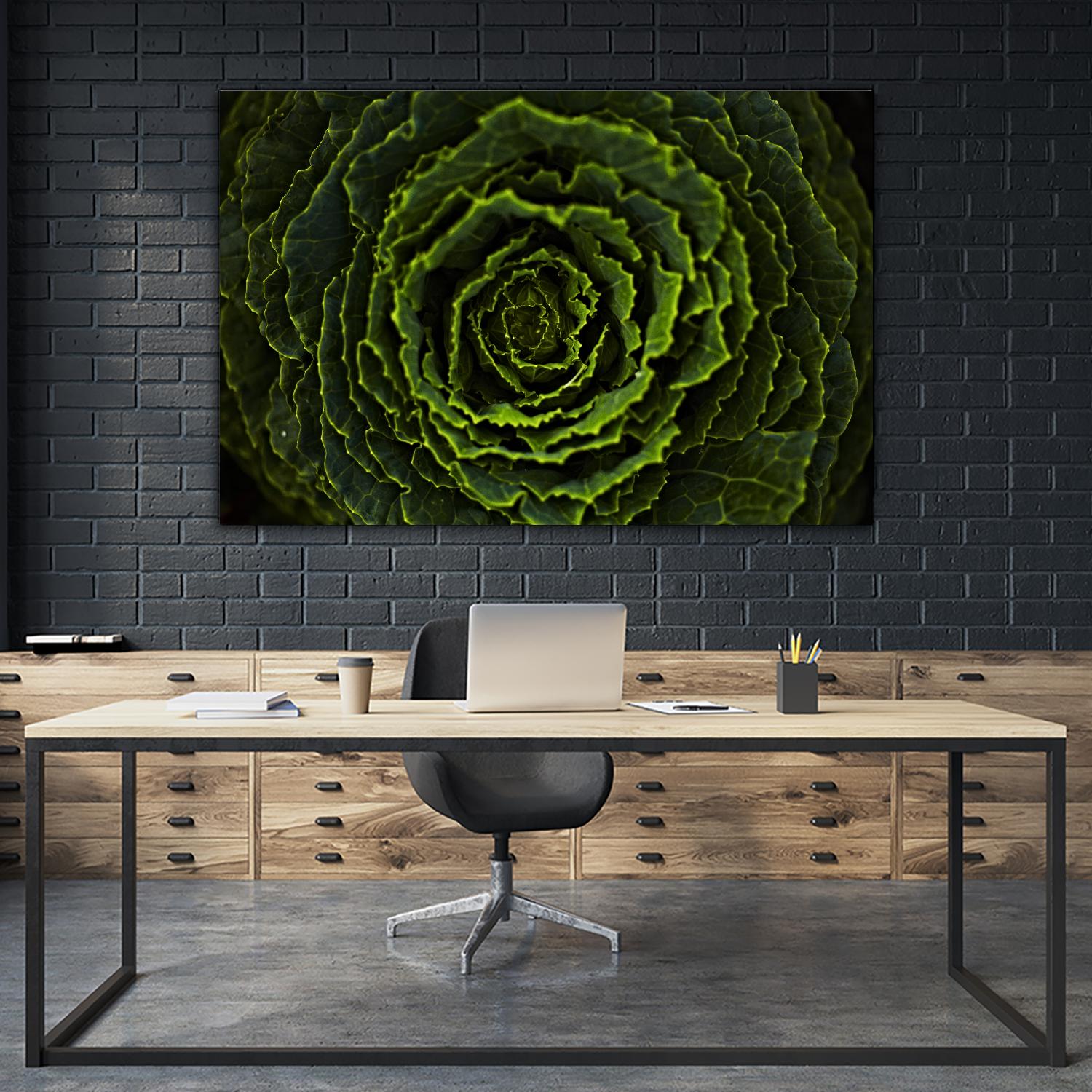 Cabbage II by Peter Morneau on GIANT ART - green photo art
