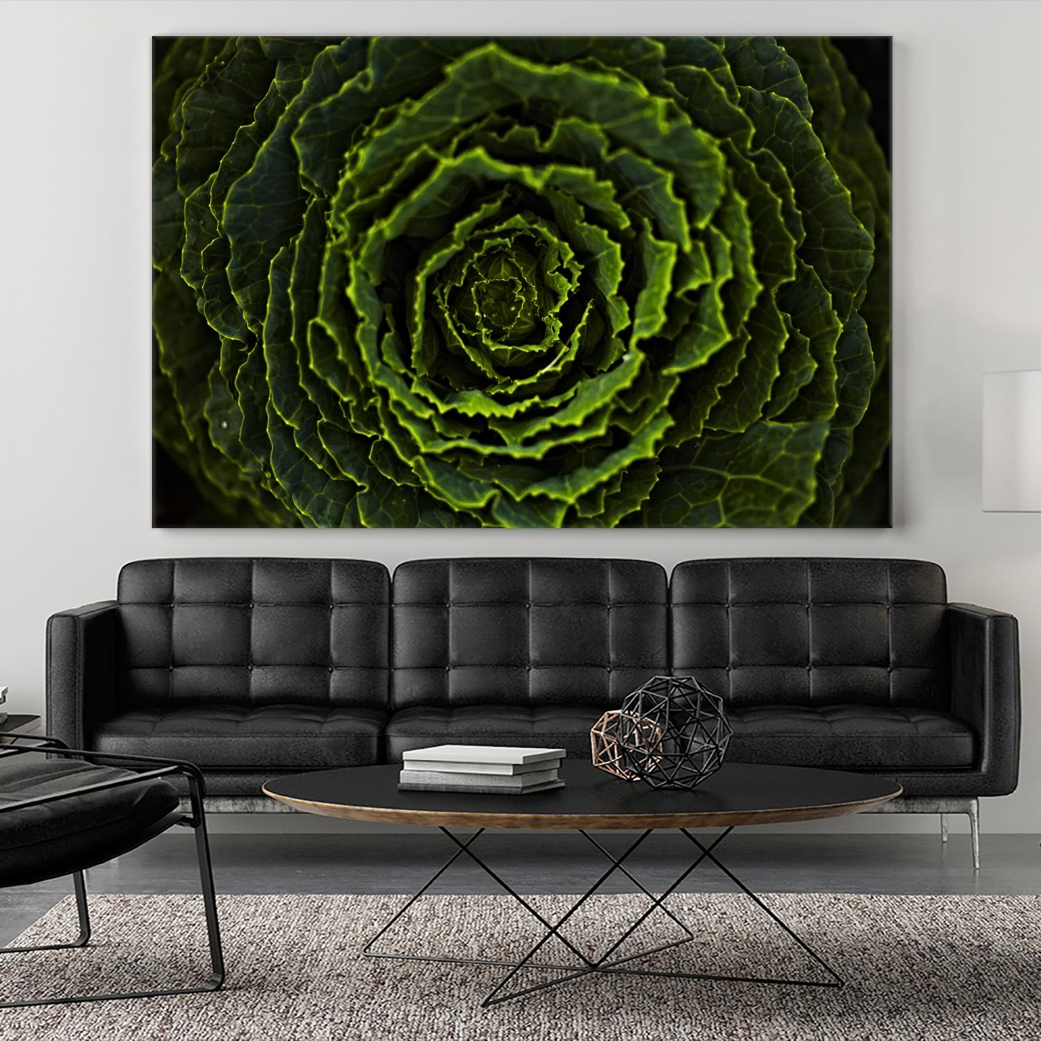 Cabbage II by Peter Morneau on GIANT ART - green photo art