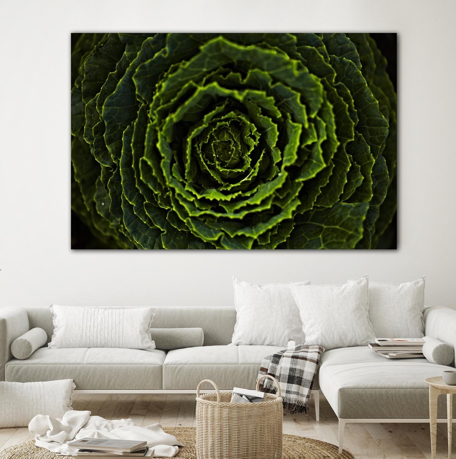 Cabbage II by Peter Morneau on GIANT ART - green photo art