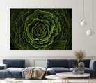 Cabbage II by Peter Morneau on GIANT ART - green photo art