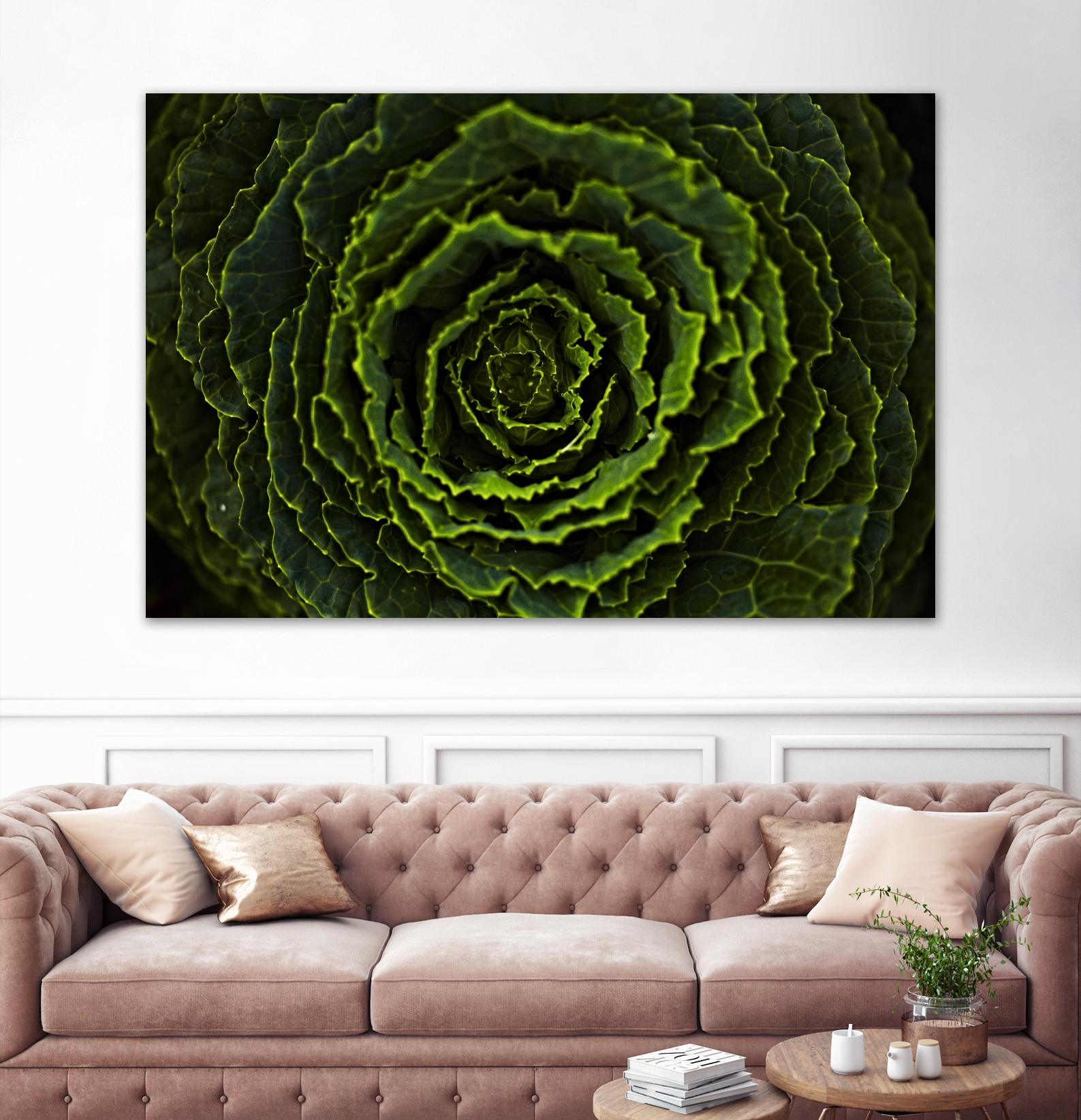Cabbage II by Peter Morneau on GIANT ART - green photo art