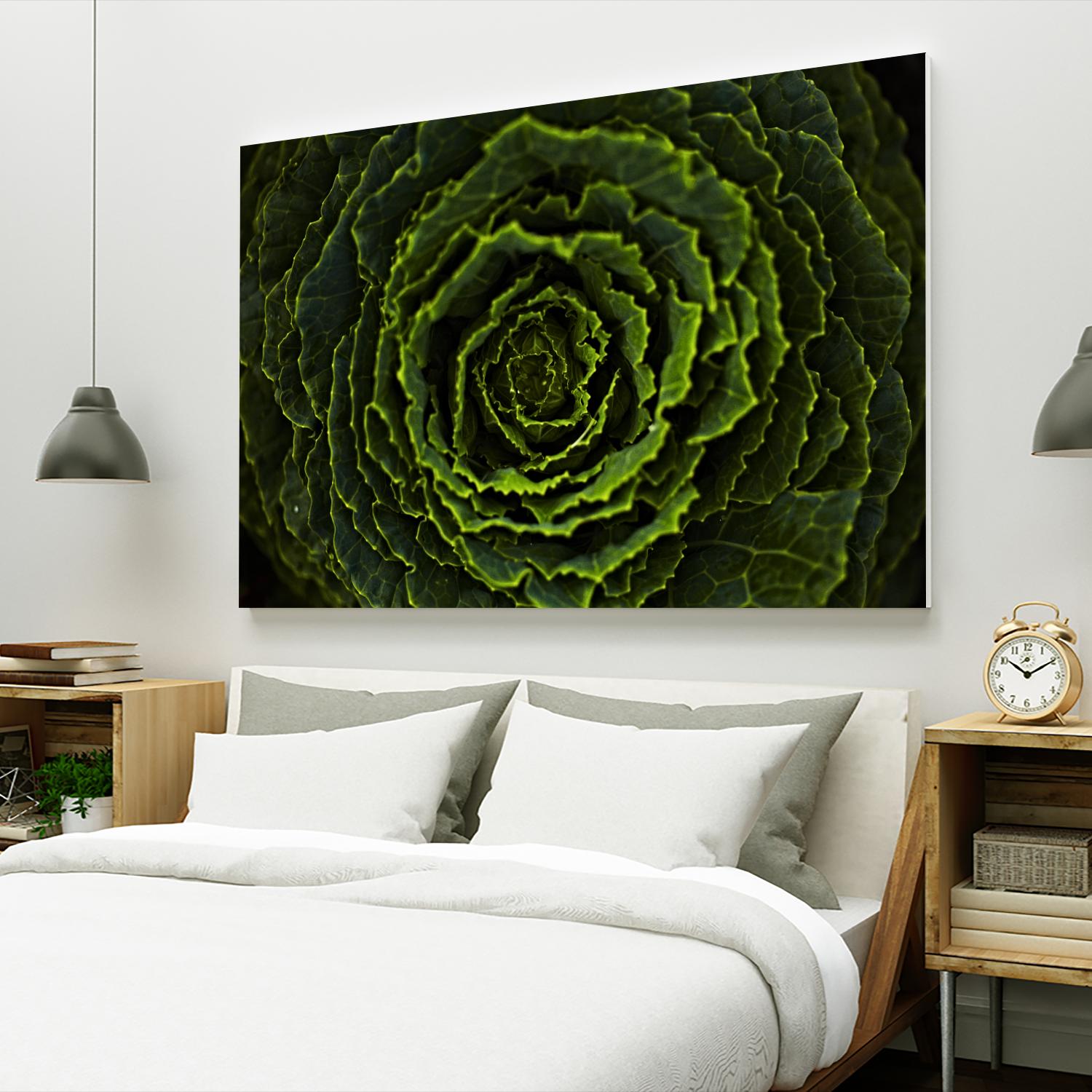 Cabbage II by Peter Morneau on GIANT ART - green photo art
