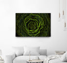 Cabbage II by Peter Morneau on GIANT ART - green photo art