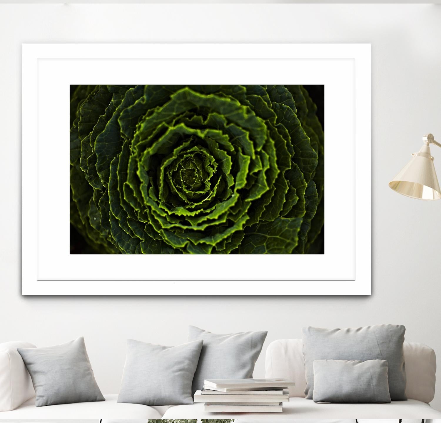 Cabbage II by Peter Morneau on GIANT ART - green photo art
