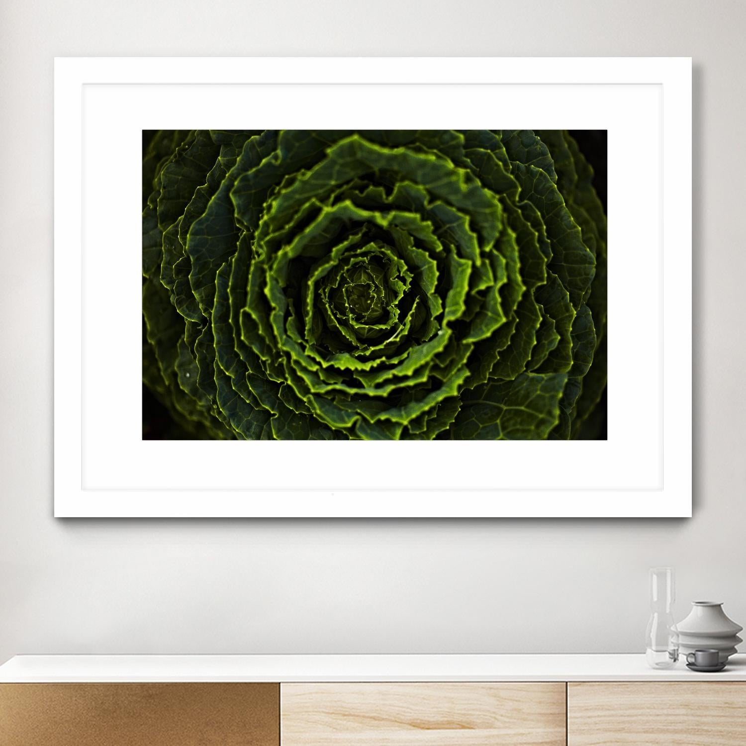 Cabbage II by Peter Morneau on GIANT ART - green photo art