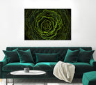 Cabbage II by Peter Morneau on GIANT ART - green photo art