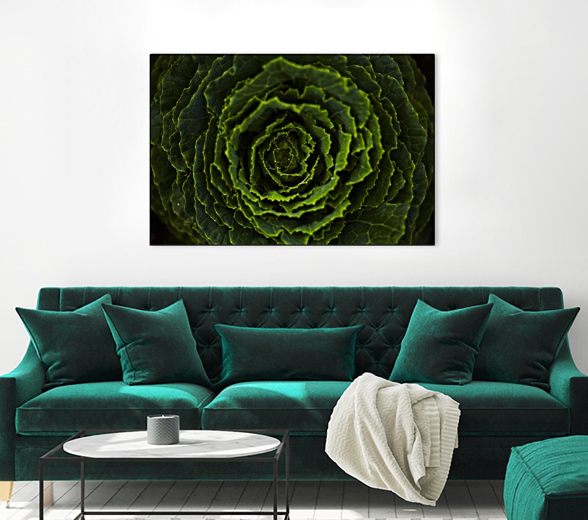 Cabbage II by Peter Morneau on GIANT ART - green photo art