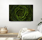 Cabbage II by Peter Morneau on GIANT ART - green photo art