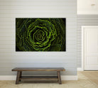 Cabbage II by Peter Morneau on GIANT ART - green photo art