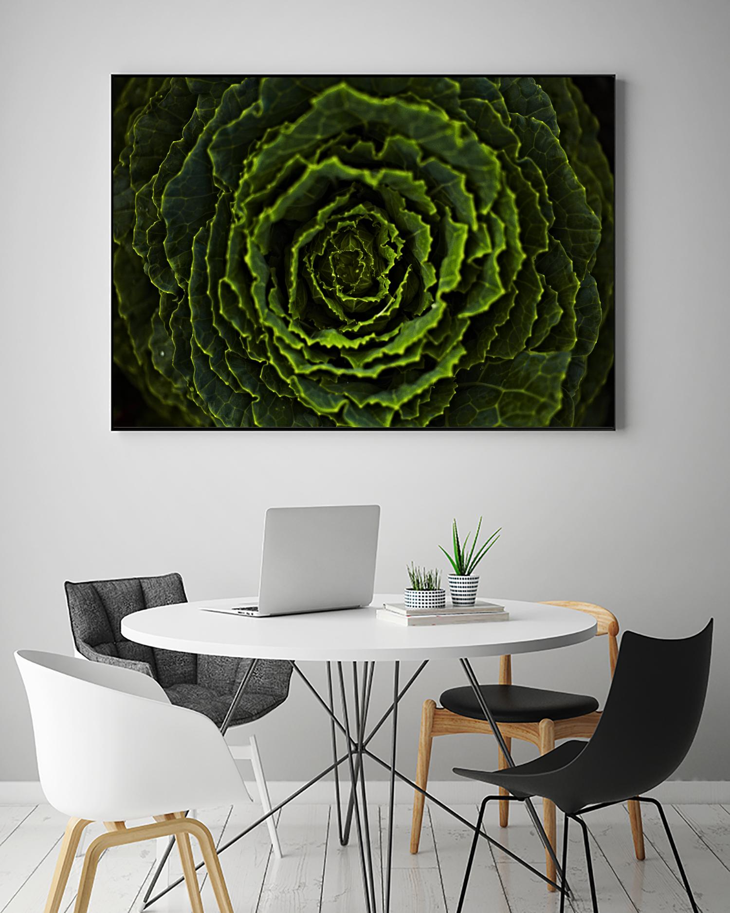 Cabbage II by Peter Morneau on GIANT ART - green photo art