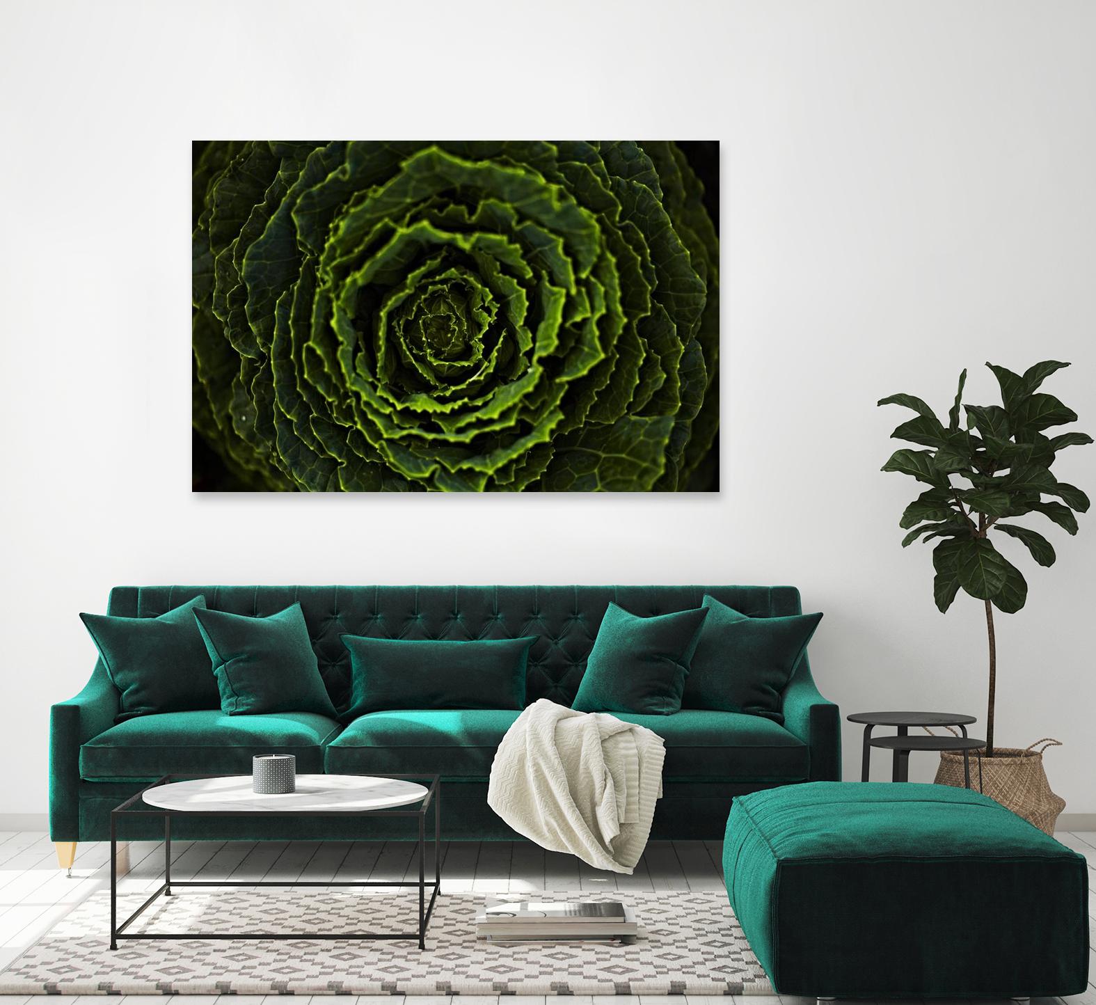 Cabbage II by Peter Morneau on GIANT ART - green photo art