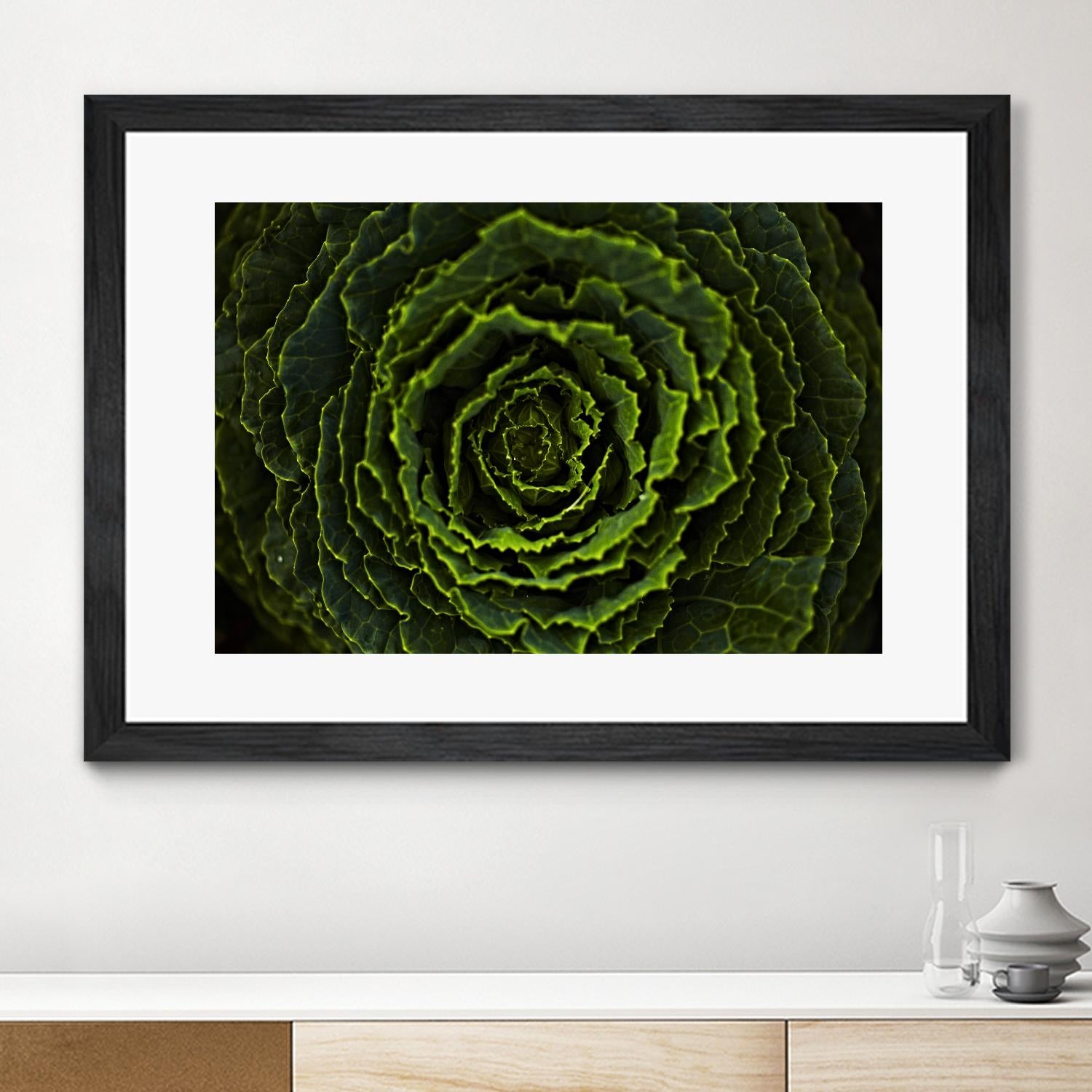Cabbage II by Peter Morneau on GIANT ART - green photo art