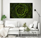 Cabbage II by Peter Morneau on GIANT ART - green photo art