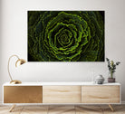 Cabbage II by Peter Morneau on GIANT ART - green photo art