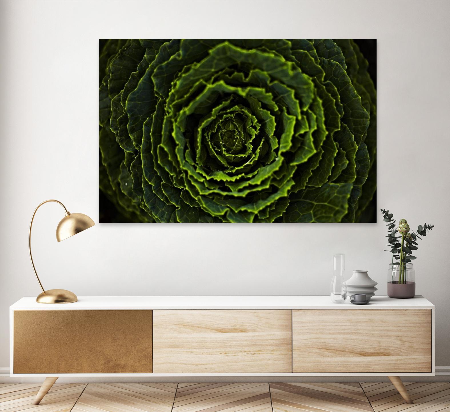 Cabbage II by Peter Morneau on GIANT ART - green photo art
