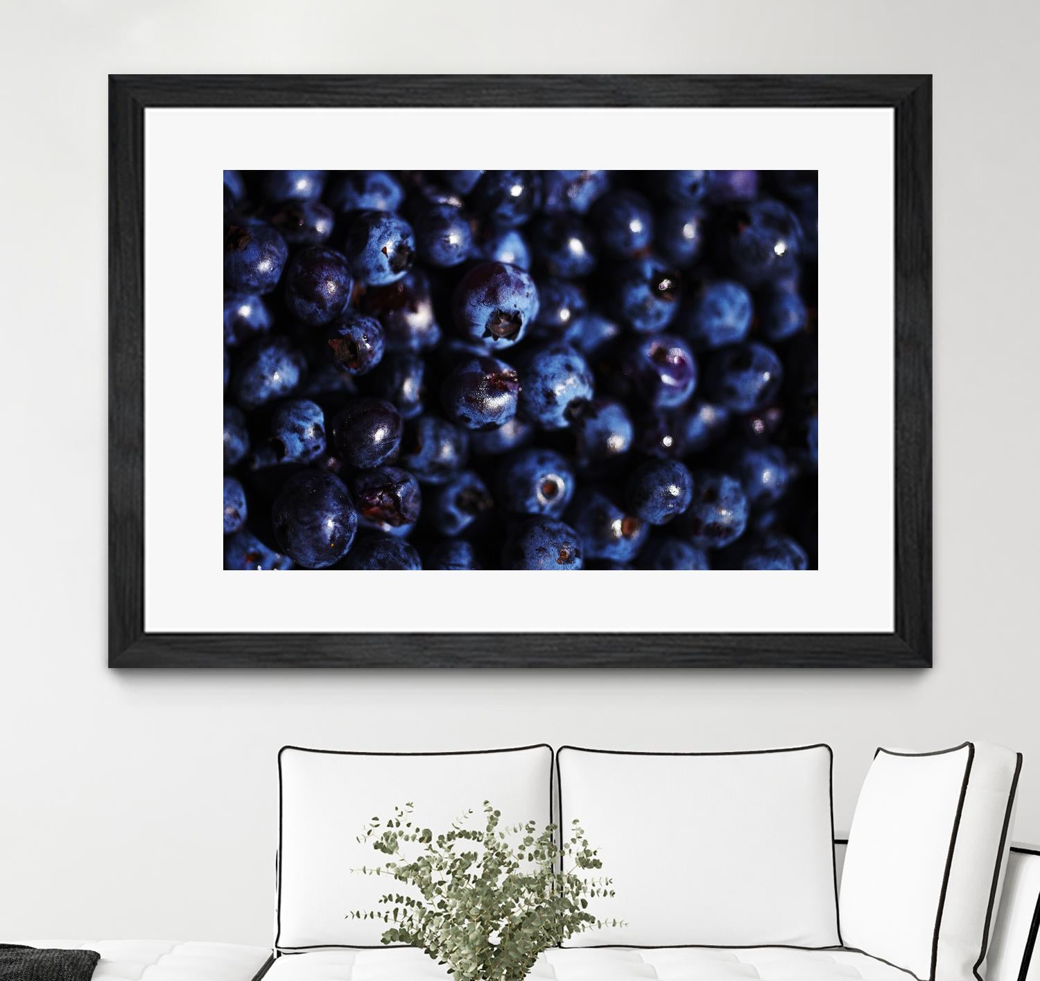 Blueberries I by Peter Morneau on GIANT ART - blue photo art