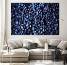 Blueberries II by Peter Morneau on GIANT ART - blue photo art