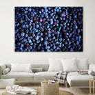 Blueberries II by Peter Morneau on GIANT ART - blue photo art
