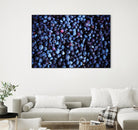 Blueberries II by Peter Morneau on GIANT ART - blue photo art