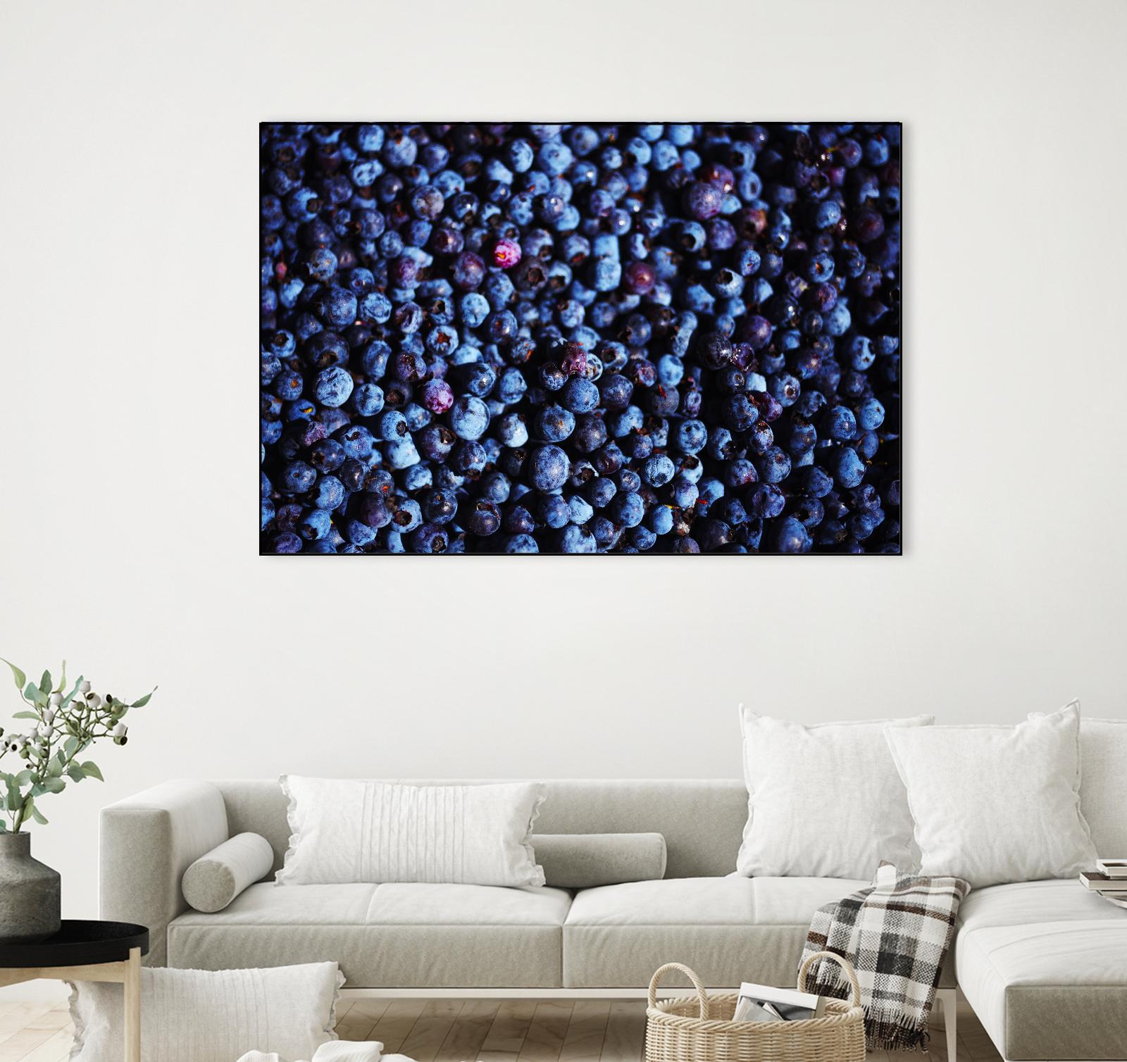 Blueberries II by Peter Morneau on GIANT ART - blue photo art