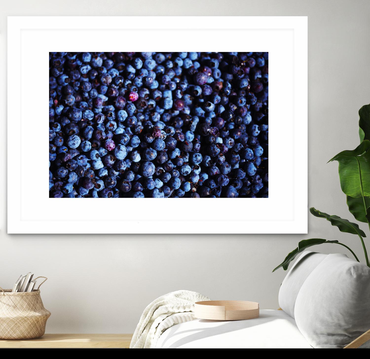 Blueberries II by Peter Morneau on GIANT ART - blue photo art