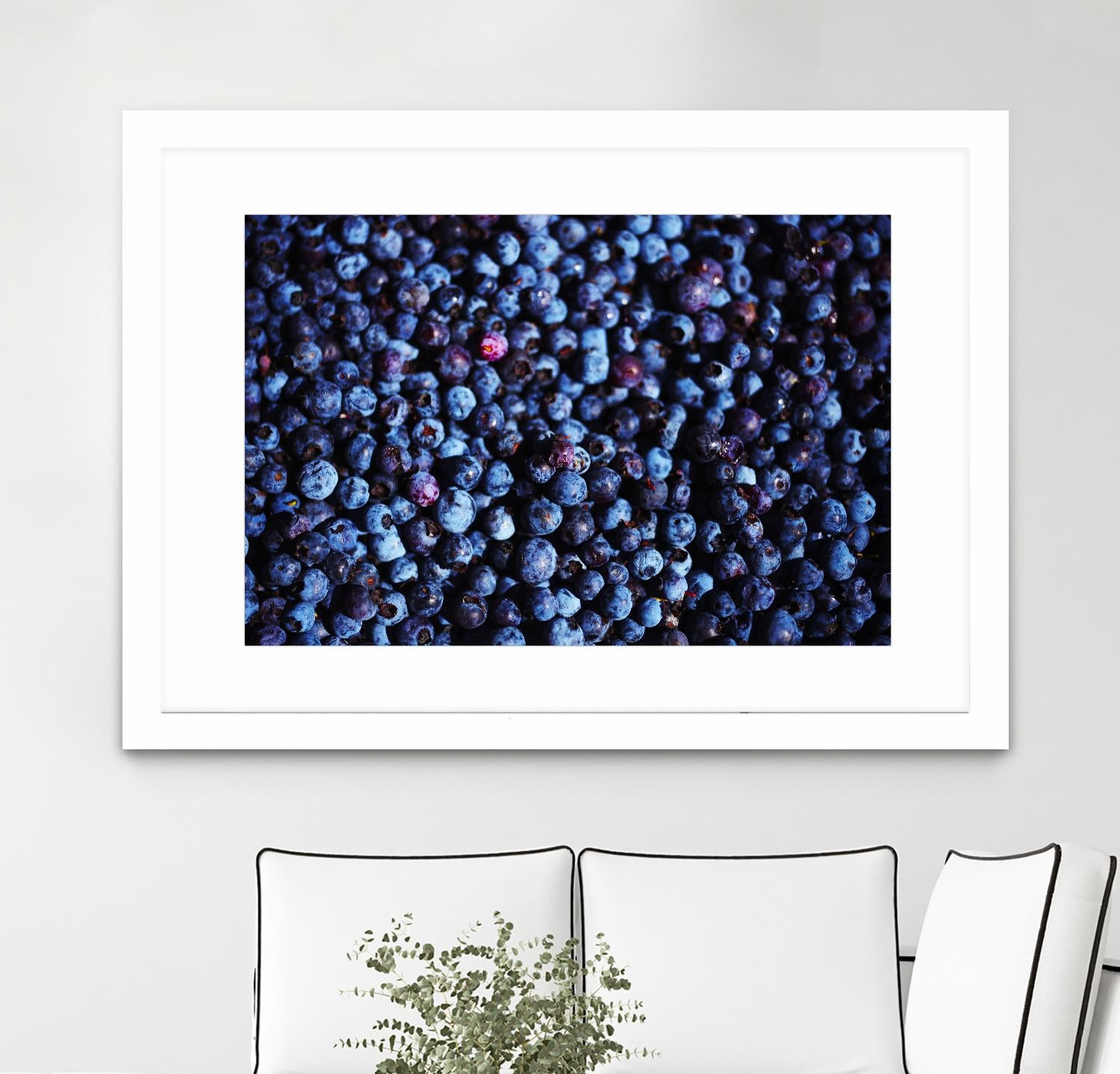 Blueberries II by Peter Morneau on GIANT ART - blue photo art