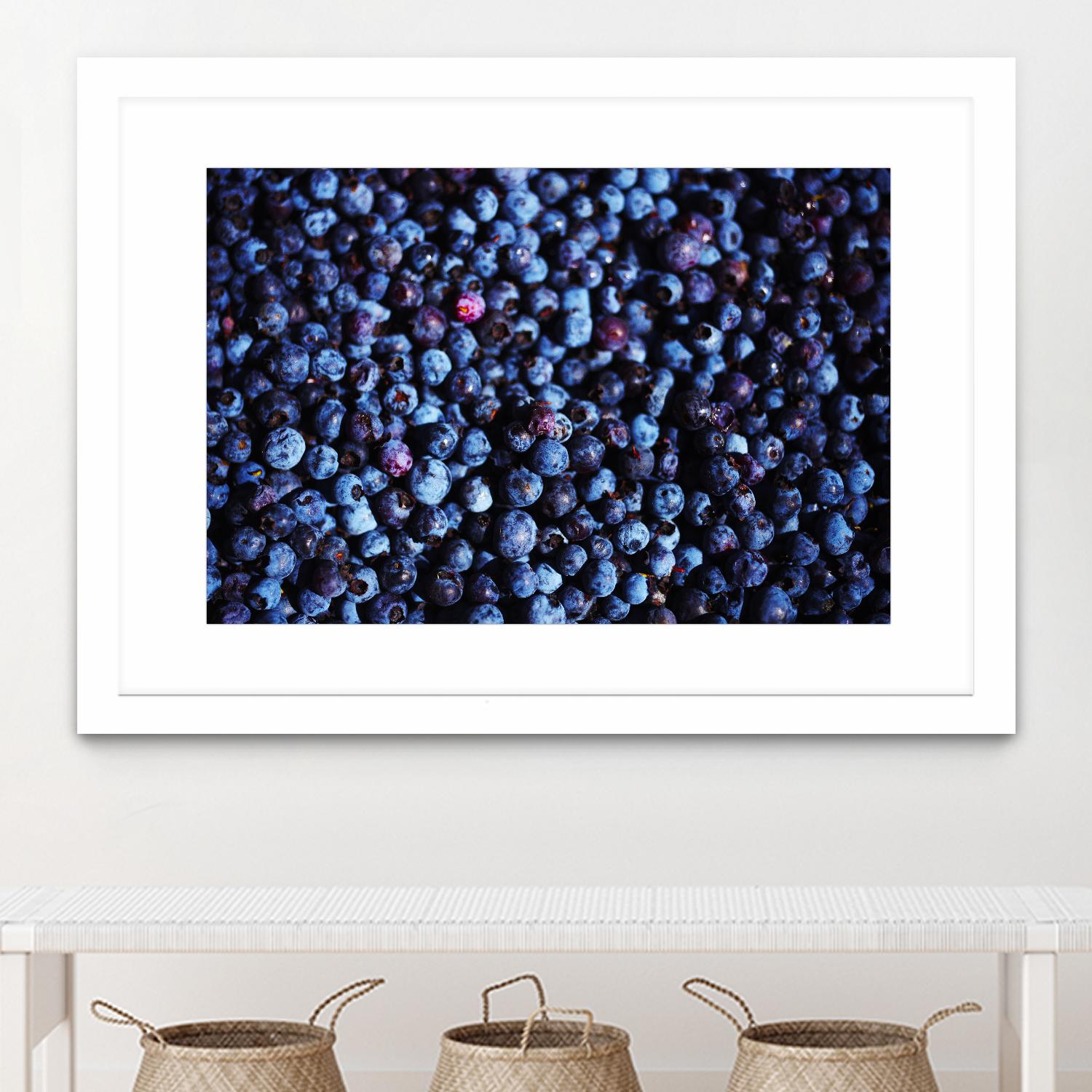 Blueberries II by Peter Morneau on GIANT ART - blue photo art
