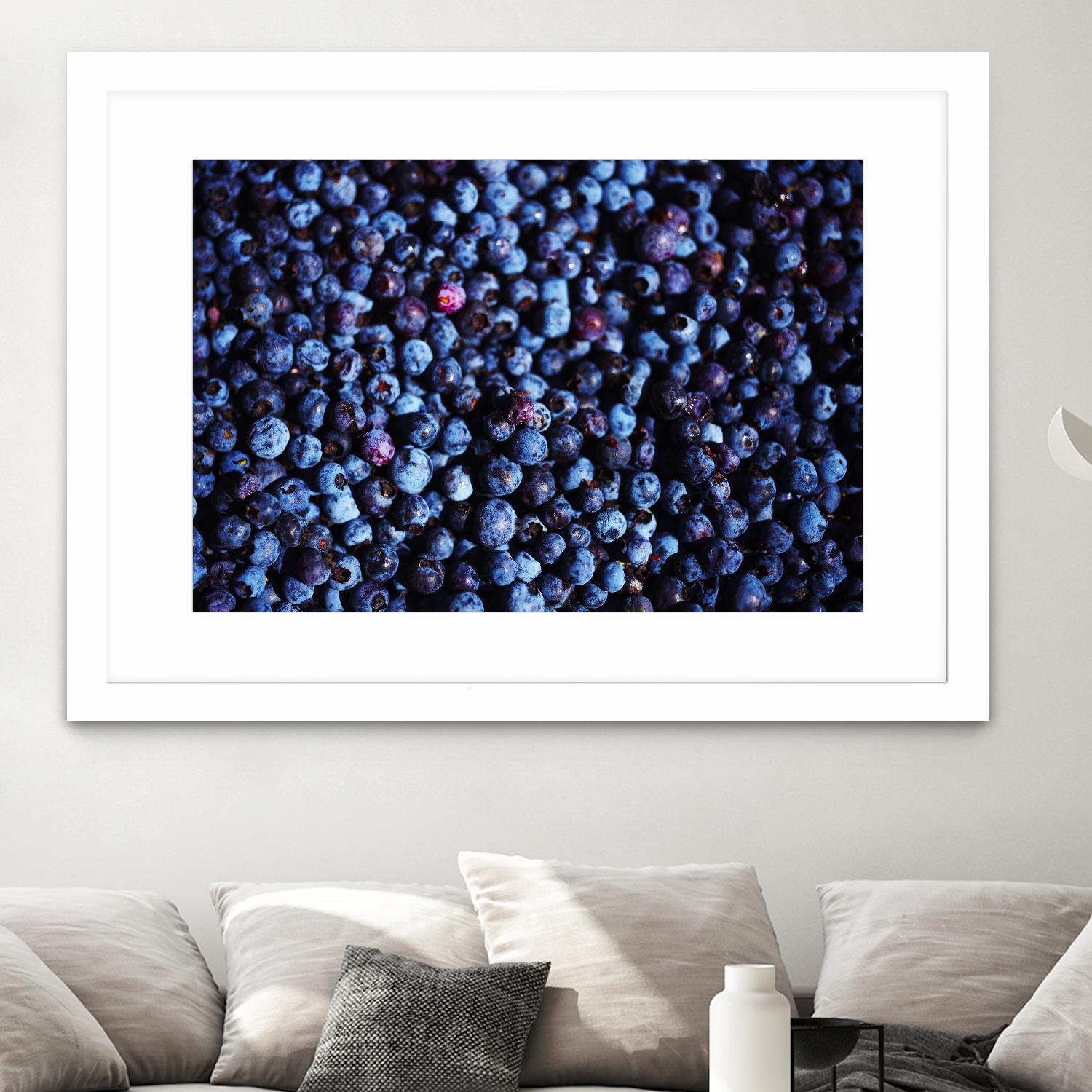 Blueberries II by Peter Morneau on GIANT ART - blue photo art