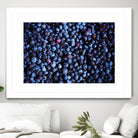 Blueberries II by Peter Morneau on GIANT ART - blue photo art